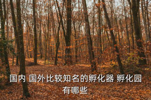 國(guó)內(nèi) 國(guó)外比較知名的孵化器 孵化園有哪些