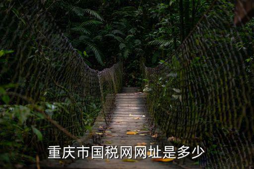重慶市國稅網(wǎng)網(wǎng)址是多少