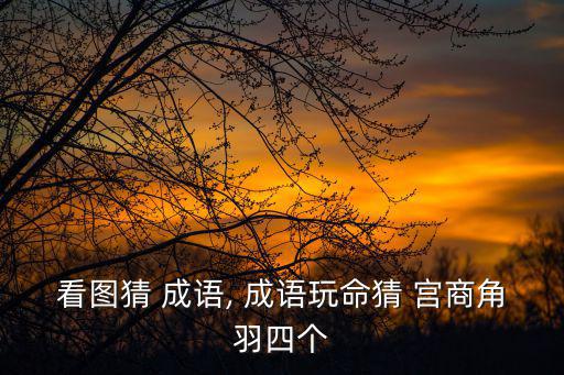 看圖猜 成語(yǔ), 成語(yǔ)玩命猜 宮商角羽四個(gè)