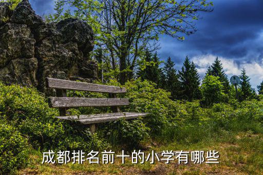 成都排名前十的小學(xué)有哪些