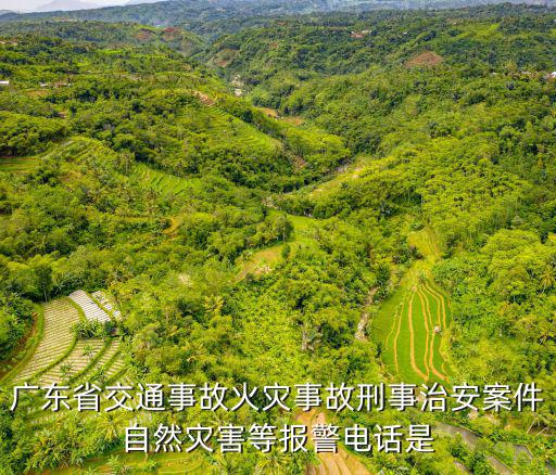 廣東省刑偵專(zhuān)線電話，廣東省交通事故火災(zāi)事故刑事治安案件自然災(zāi)害等報(bào)警電話是