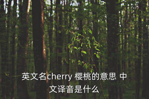 櫻桃英文，櫻桃的英語怎么寫怎么讀