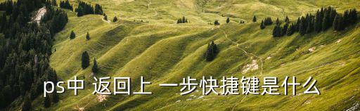 ps怎么返回上一步