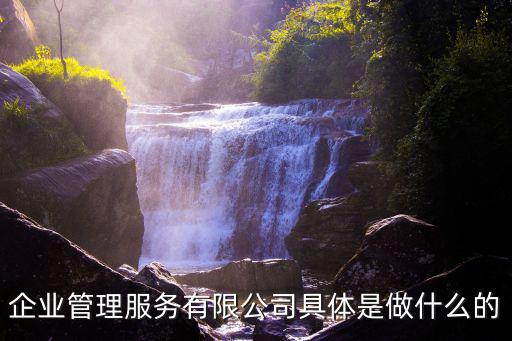 企業管理服務有限公司具體是做什么的