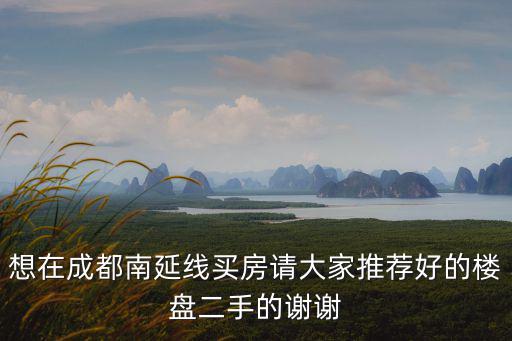 想在成都南延線買房請大家推薦好的樓盤二手的謝謝