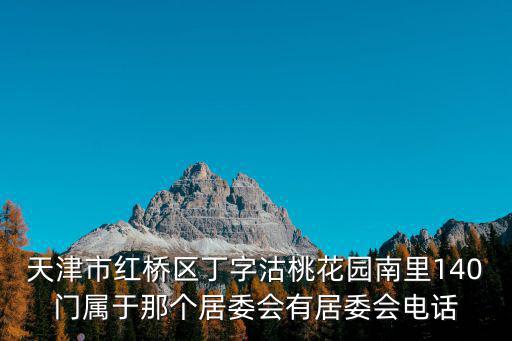 天津市紅橋區(qū)丁字沽桃花園南里140門屬于那個(gè)居委會(huì)有居委會(huì)電話
