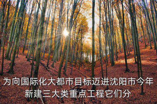 為向國際化大都市目標(biāo)邁進(jìn)沈陽市今年新建三大類重點(diǎn)工程它們分