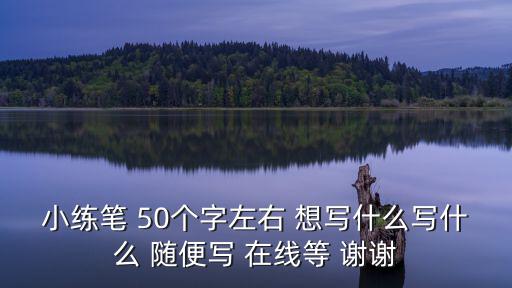 小練筆 50個字左右 想寫什么寫什么 隨便寫 在線等 謝謝