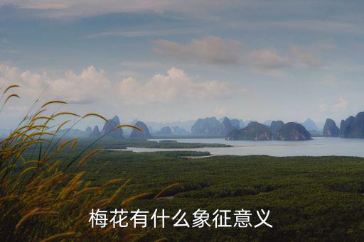 梅花有什么象征意義