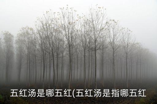 五紅湯是哪五紅(五紅湯是指哪五紅
