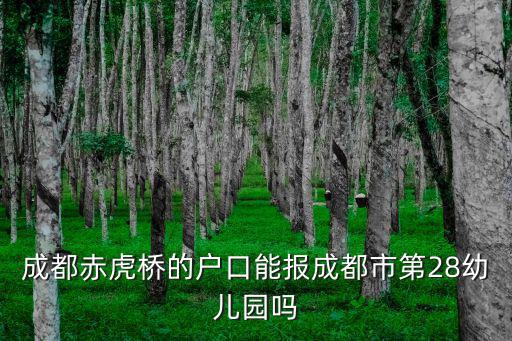 成都赤虎橋的戶口能報成都市第28幼兒園嗎