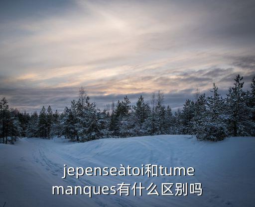  jepenseàtoi和tumemanques有什么區別嗎