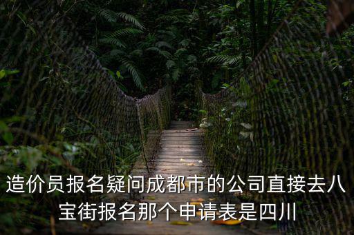 造價員報名疑問成都市的公司直接去八寶街報名那個申請表是四川
