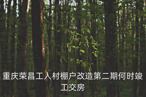 重慶榮昌工人村棚戶改造第二期何時竣工交房