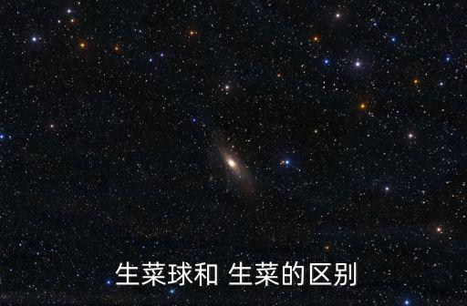  生菜球和 生菜的區別