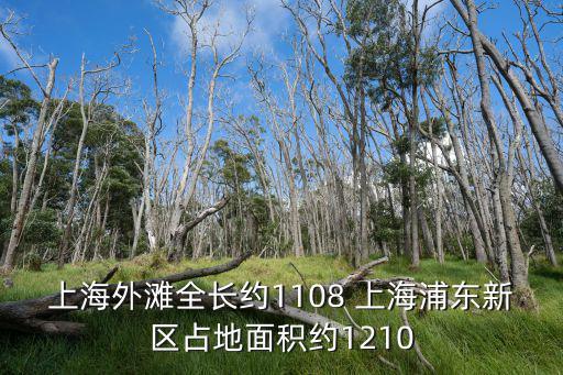 上海外灘全長約1108 上海浦東新區占地面積約1210