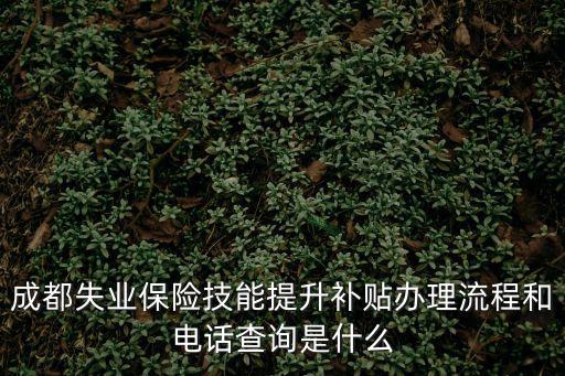 成都失業保險技能提升補貼辦理流程和電話查詢是什么