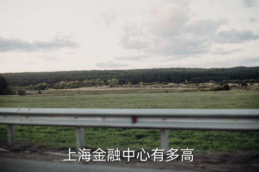 上海金融中心有多高