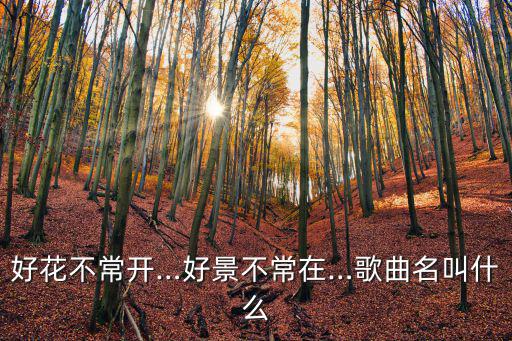 但愿花常開,你什么時候回來?鄧麗君醉倒白玉杯留言