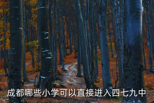 成都市中小學20172018，成都市建設路小學