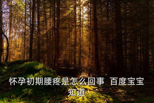 孕早期腰疼，懷孕初期為什么會腰疼  百度寶寶知道