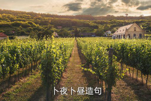 卜夜卜晝造句