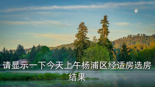 請顯示一下今天上午楊浦區(qū)經(jīng)適房選房結(jié)果