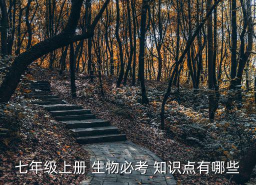 七上生物知識點,生態系統有哪些重要性?