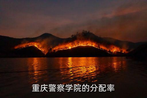重慶警察學院的分配率