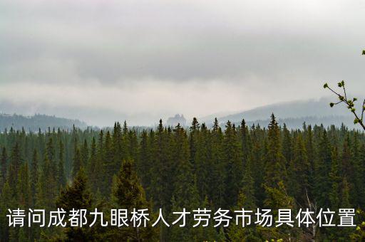 請問成都九眼橋人才勞務市場具體位置