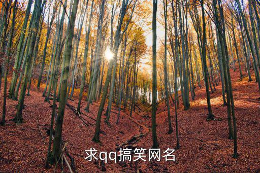 奇葩網名，求四字奇葩點的網名