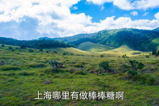 上海哪里有做棒棒糖啊