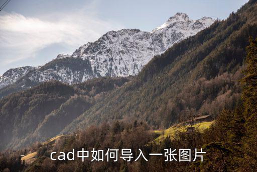 cad中如何導入一張圖片