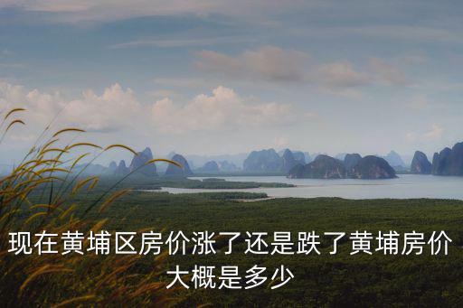 現在黃埔區房價漲了還是跌了黃埔房價大概是多少