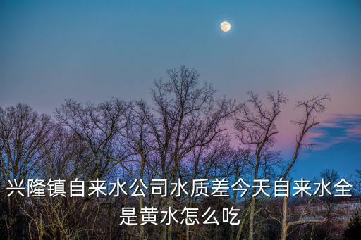 興隆鎮自來水公司水質差今天自來水全是黃水怎么吃