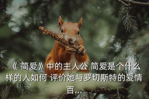 《 簡愛》中的主人公 簡愛是個什么樣的人如何 評價她與羅切斯特的愛情百...