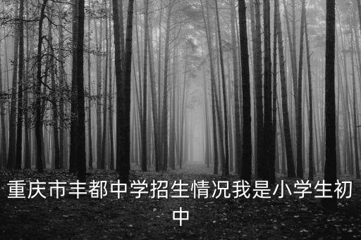 重慶市豐都中學招生情況我是小學生初中
