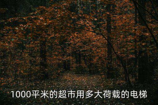 1000層電梯設計，請問100層大樓的電梯是怎樣設計的