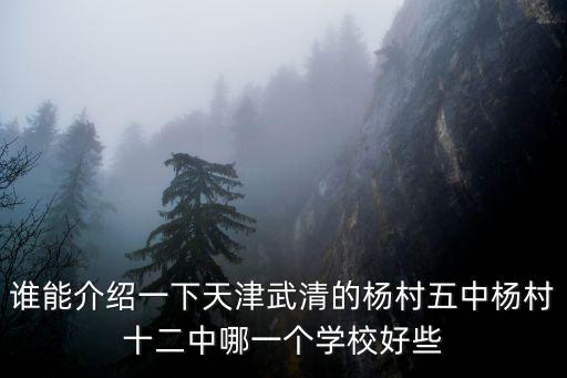 誰能介紹一下天津武清的楊村五中楊村十二中哪一個學(xué)校好些