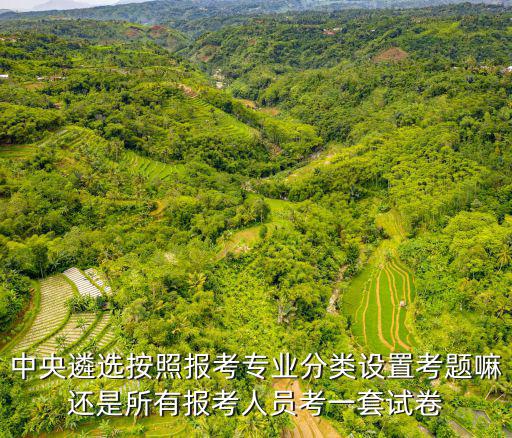 中央遴選按照報考專業分類設置考題嘛還是所有報考人員考一套試卷