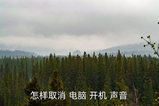 怎樣取消 電腦 開機 聲音