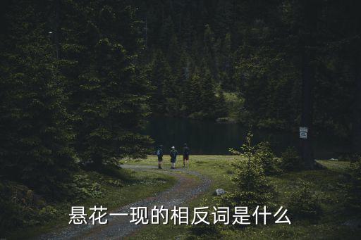 懸花一現的相反詞是什么