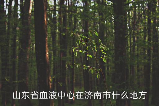 山東省血液中心在濟南市什么地方