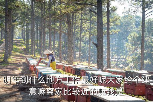 明年到什么地方工作最好呢大家給個建意嘛離家比較近的嘛我是