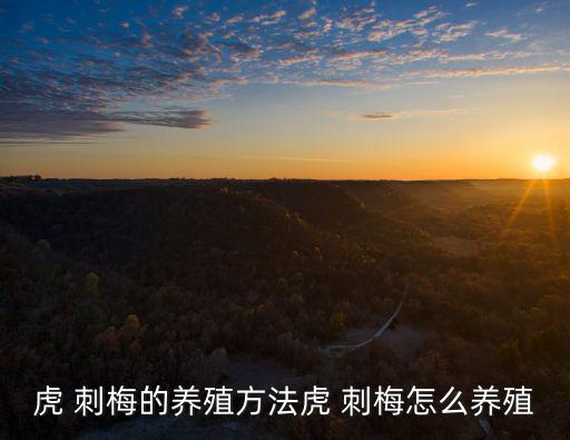 虎 刺梅的養殖方法虎 刺梅怎么養殖