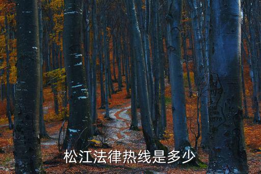 松江法律熱線是多少