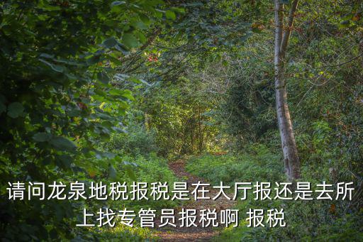 請問龍泉地稅報稅是在大廳報還是去所上找專管員報稅啊 報稅