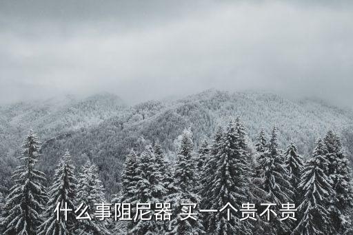 什么事阻尼器 買一個貴不貴