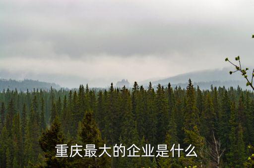 重慶市資產最大的民營企業，誰能幫我查找重慶年產值3千萬以上的民營公司
