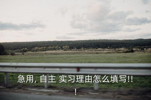 急用, 自主 實習理由怎么填寫!!!
